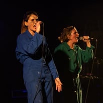 Les Fatals Picards, Les Wampas