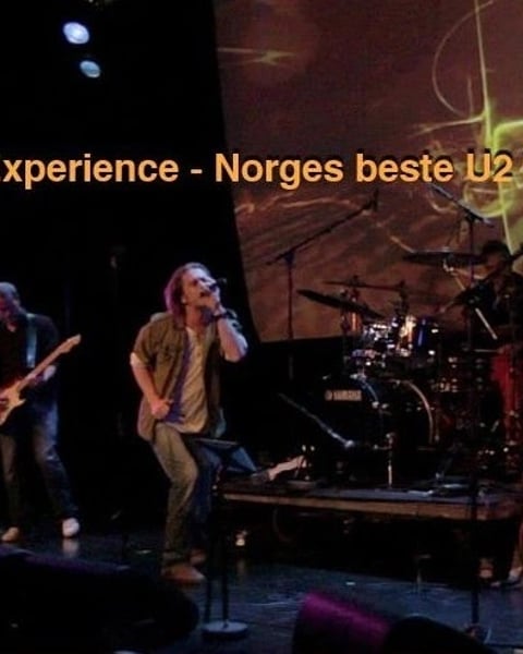 The U2 Experience