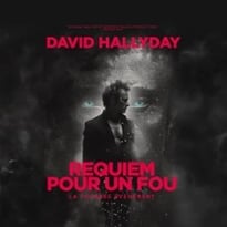 David Hallyday, Requiem pour un fou