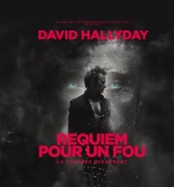 David Hallyday, Requiem pour un fou