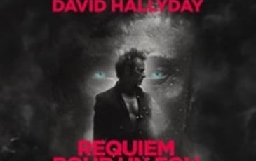 David Hallyday, Requiem pour un fou