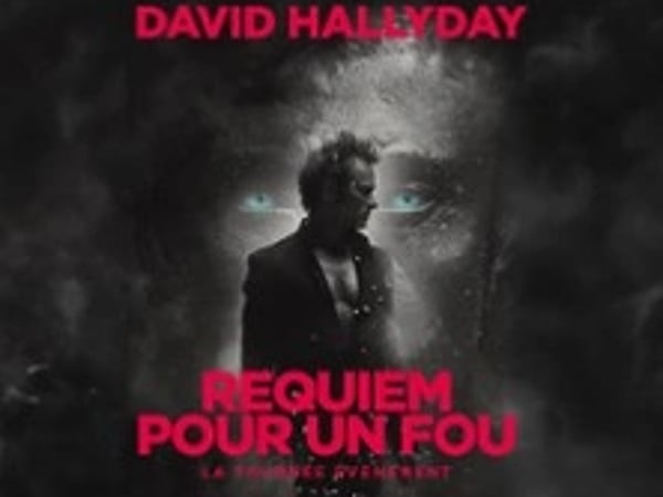 David Hallyday, Requiem pour un fou