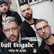 Bull Brigade