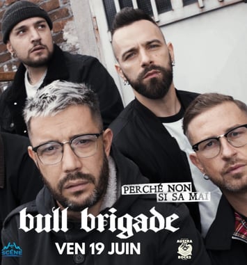 Bull Brigade