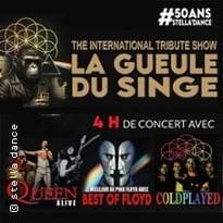 Queen Alive, Best of Floyd, Coldplayed