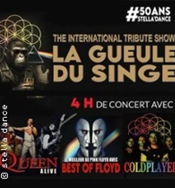 Queen Alive, Best of Floyd, Coldplayed