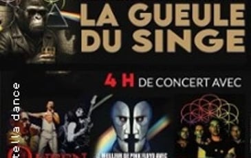 Queen Alive, Best of Floyd, Coldplayed