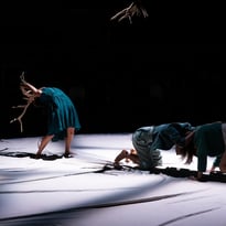 Faune – Cie Libertivore