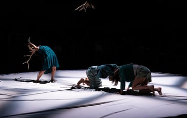 Faune – Cie Libertivore