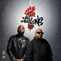Neg'Marrons, Le Grand Bilan