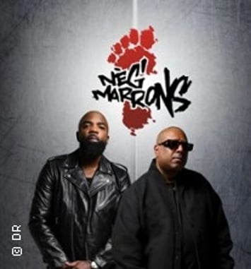 Neg'Marrons, Le Grand Bilan