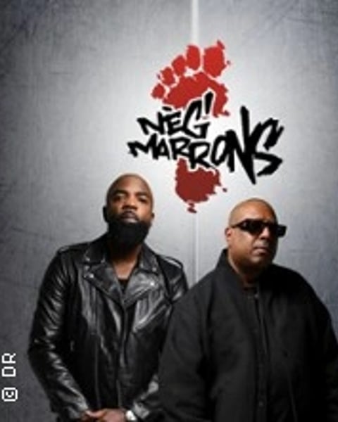 Neg'Marrons, Le Grand Bilan