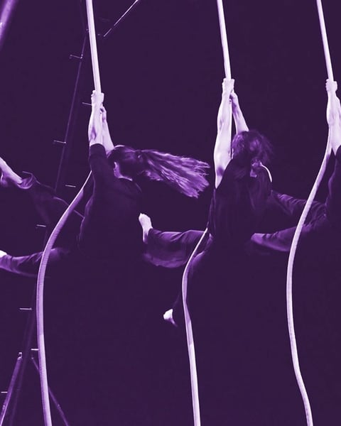 Capté - Compagnie l'Encordée