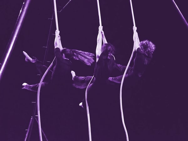 Capté - Compagnie l'Encordée