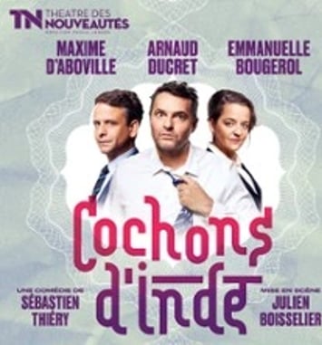 Cochons d'Inde