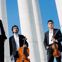 Trio Zadig
