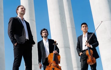 Trio Zadig