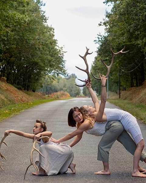 Faune