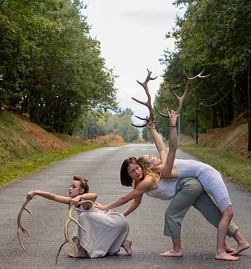 Faune