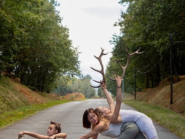 Faune