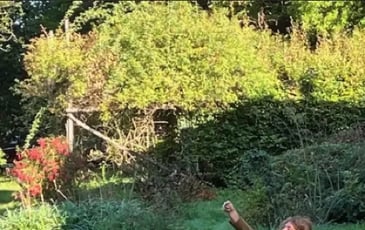 Zone Critique, Les Sols