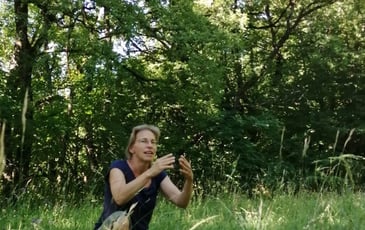 La tourbière du Peuil : entre pierres et eau