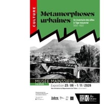 Exposition : Métamorphoses urbaines, un inventaire des villes à l'âge industriel