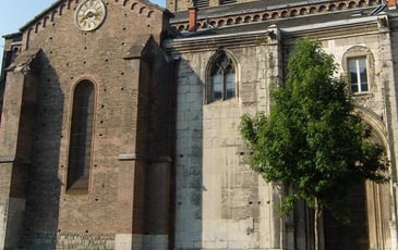 Visite-conférence de la Collégiale Saint-André