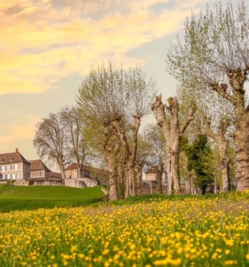 Visite guidée du Château de Montolivet