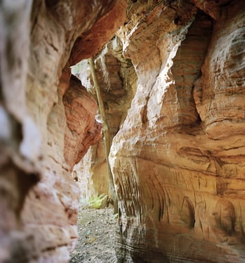 Déplacer les montagnes : suite sur le cycle de roches du Taennchel