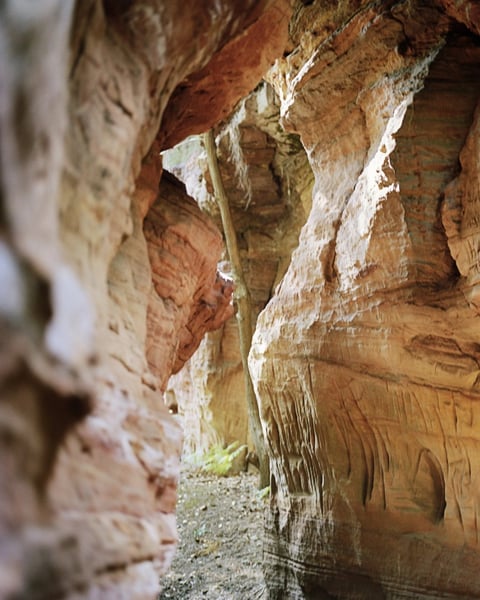 Déplacer les montagnes : suite sur le cycle de roches du Taennchel