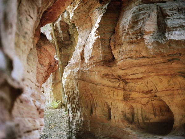 Déplacer les montagnes : suite sur le cycle de roches du Taennchel
