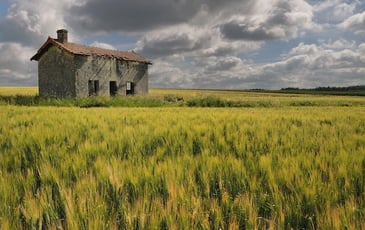 On Aurait Dû Laisser Un Mot