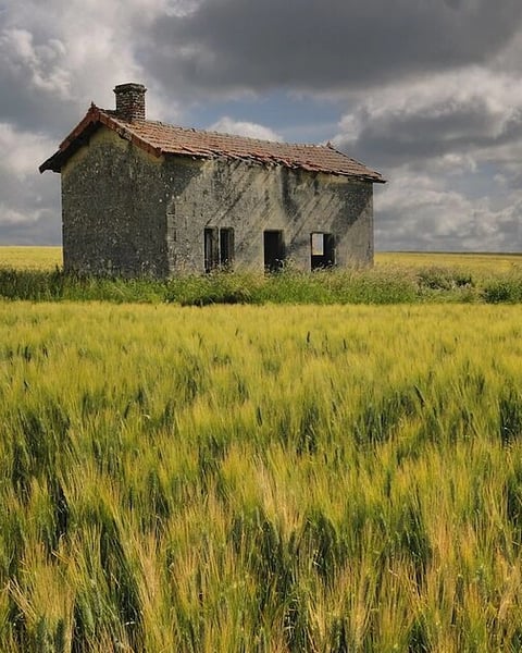 On Aurait Dû Laisser Un Mot