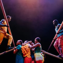 Yongoyély Circus Baobab