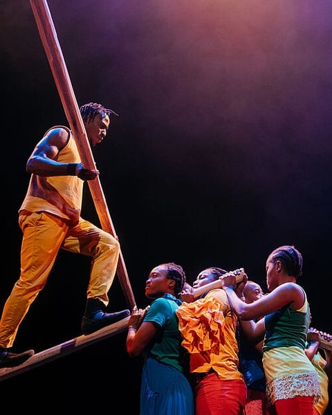 Yongoyély Circus Baobab