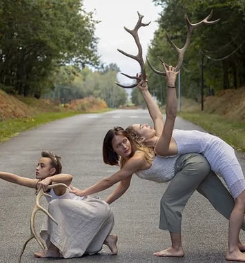 Faune – Compagnie Libertivore