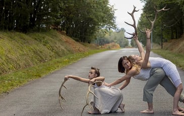 Faune – Compagnie Libertivore