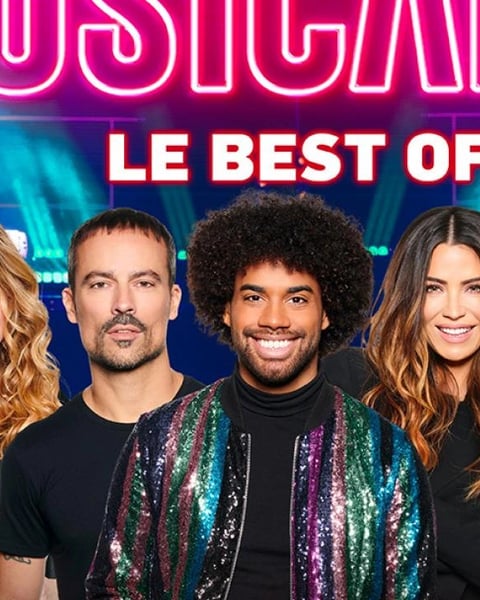 Le Meilleur des Comédies Musicales