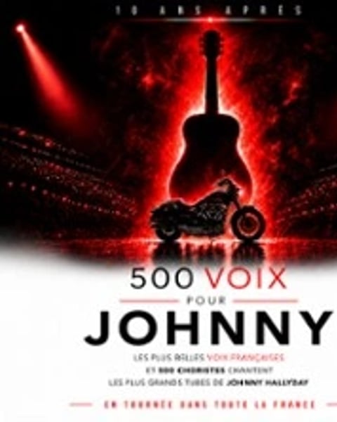 500 Voix pour Johnny, 10 ans après