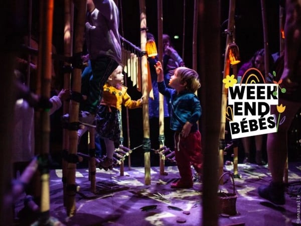 Rhizome
