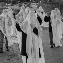Les Descendants