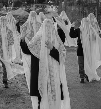 Les Descendants