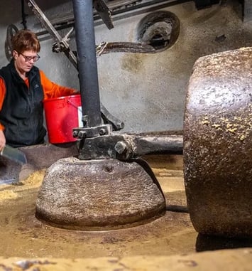 Visite guidée du Moulin Pion-Vignon