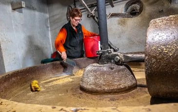 Visite guidée du Moulin Pion-Vignon