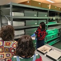 Visite des coulisses : dans les réserves du musée