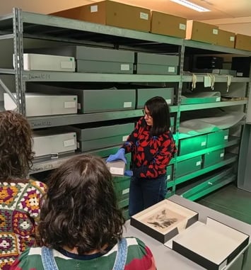 Visite des coulisses : dans les réserves du musée