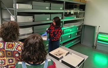 Visite des coulisses : dans les réserves du musée