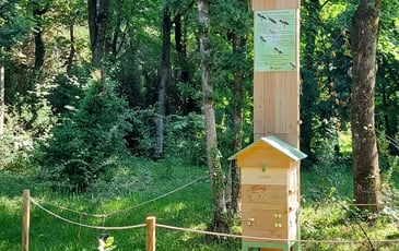 À la découverte de la ruche !