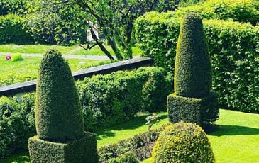 Visite guidée, Quand l'eau coule dans le clos Hébert